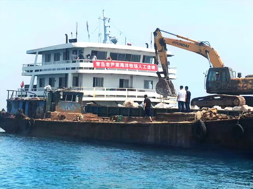 好海参好产地 青岛老尹家海参国家级海洋牧场建设侧记