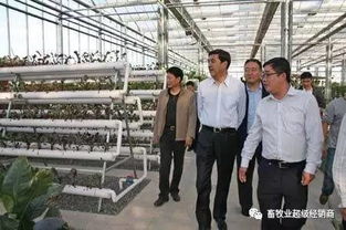 畜牧业超级经销商商学院第三期招生开启 赋能饲料销售新未来