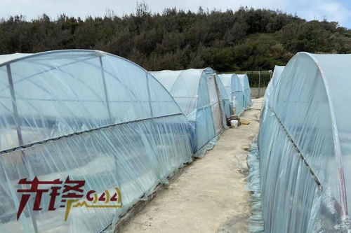 重拳出击水产投入品法律雷区 福建严查畜牧渔业饲料销售