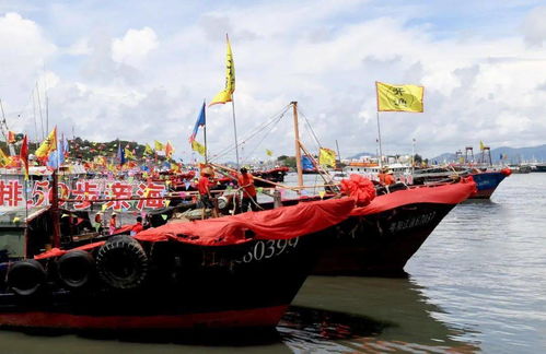 第十八届南海阳江开渔节隆重举行，全省渔船扬帆起航，畜牧渔业饲料销售迎来新机遇