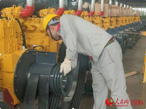 新疆 劳动创造美好生活——畜牧渔业饲料销售的繁荣与发展