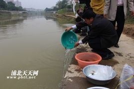 生态修复，渔业振兴——浦北县水产畜牧兽医局成功举办渔业资源人工增殖放流活动