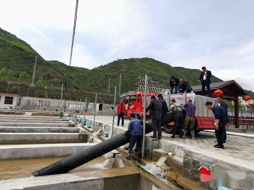 市渔业站引进新品种传授新技术，助推畜牧渔业饲料销售新格局