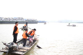 固镇县畜牧兽医水产局积极实施渔业增殖放流 保障生态平衡与饲料销售协同发展