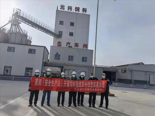 筑牢安全防线，保障市场供应——市畜牧业服务中心开展春节前饲料生产企业安全生产与销售专项检查